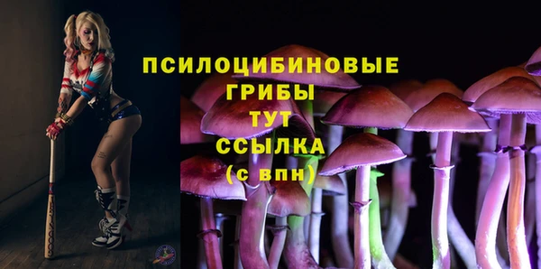 mdpv Магас