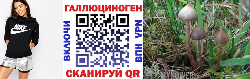 Псилоцибиновые грибы прущие грибы  Ясногорск 
